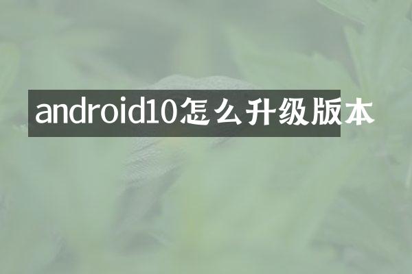 android10怎么升级版本