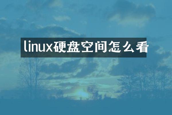 linux硬盘空间怎么看