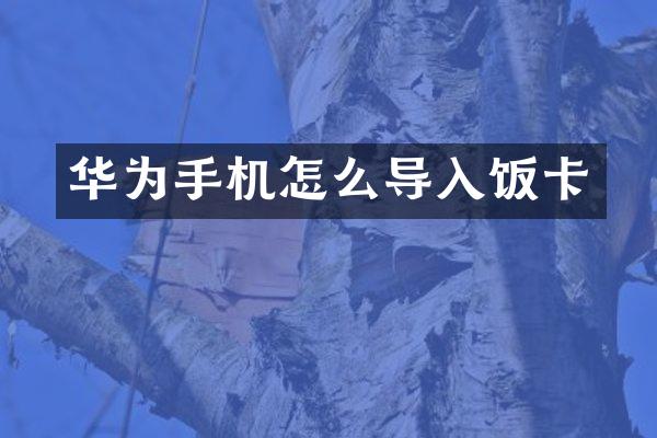 华为手机怎么导入饭卡