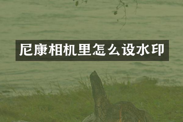 尼康相机里怎么设水印