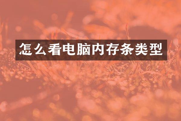 怎么看电脑内存条类型
