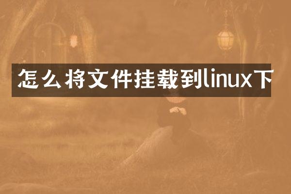 怎么将文件挂载到linux下