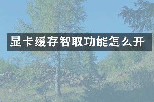 显卡缓存智取功能怎么开