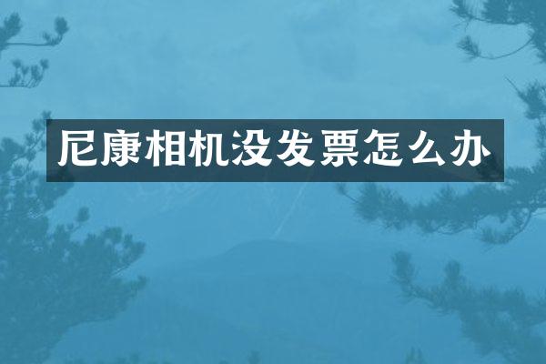 尼康相机没发票怎么办
