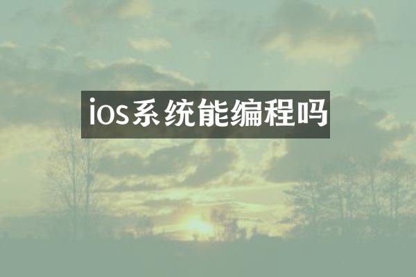 ios系统能编程吗