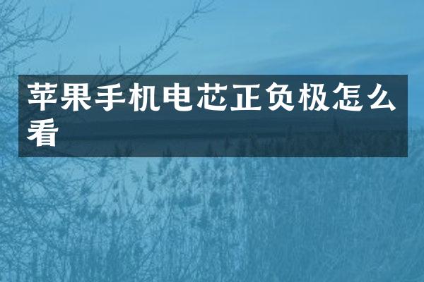 苹果手机电芯正负极怎么看