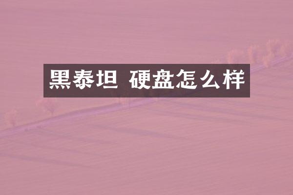 黑泰坦 硬盘怎么样