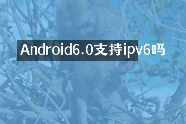 Android6.0支持ipv6吗