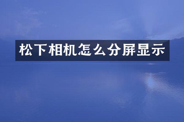 相机怎么分屏显示