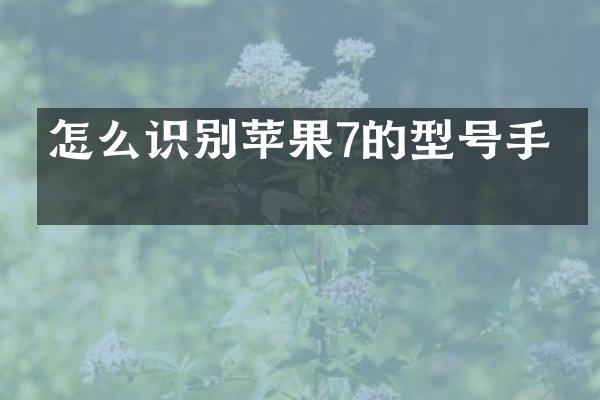 怎么识别苹果7的型号手机