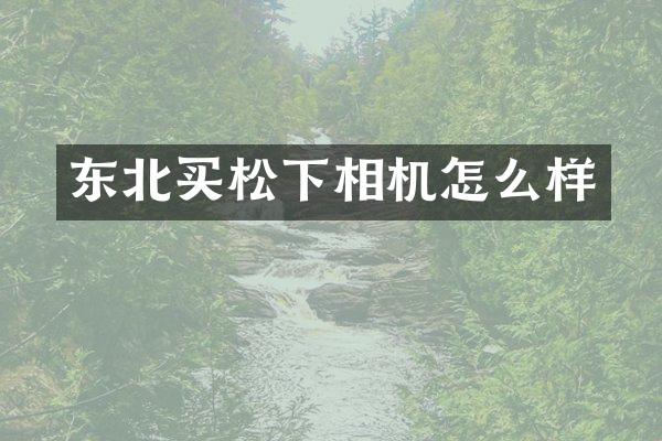 东北买相机怎么样