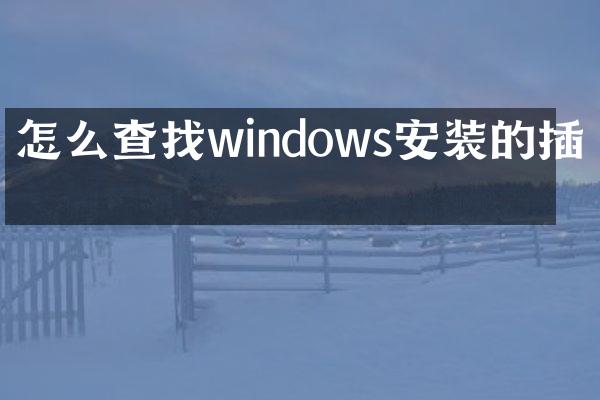 怎么查找windows安装的插件
