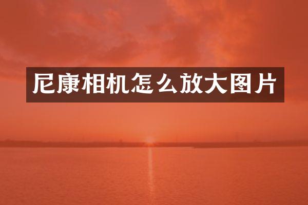 尼康相机怎么放大图片