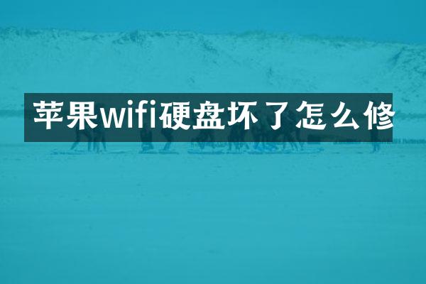 苹果wifi硬盘坏了怎么修