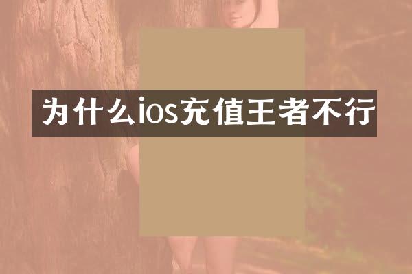 为什么ios充值王者不行