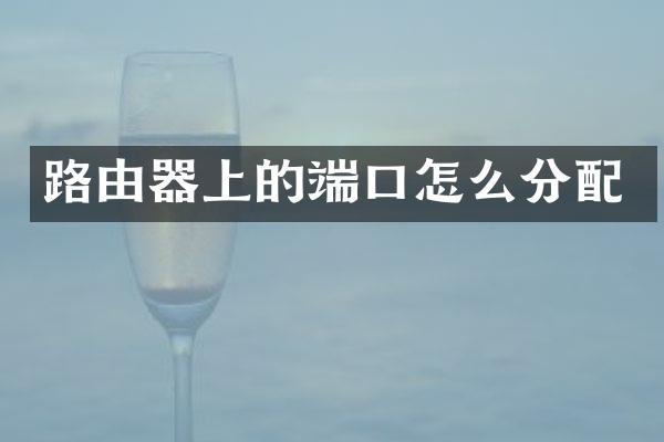 路由器上的端口怎么分配