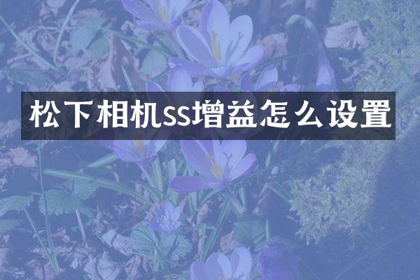 相机ss增益怎么设置