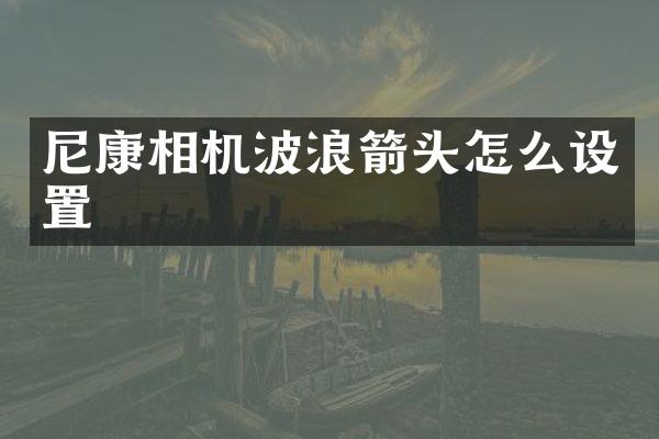 尼康相机波浪箭头怎么设置