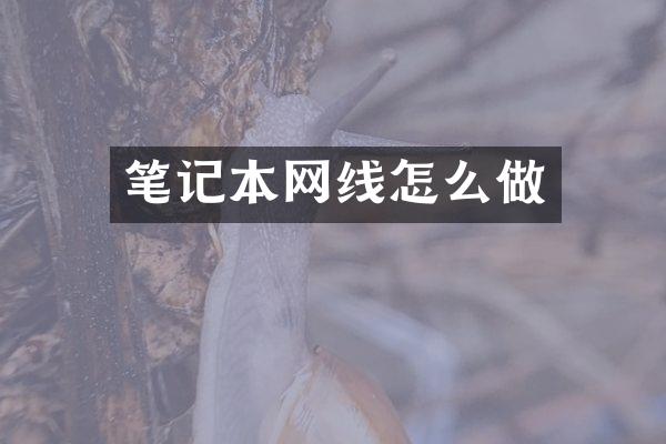 笔记本网线怎么做
