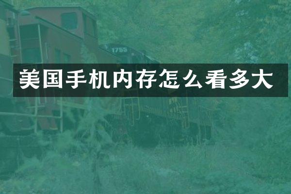美国手机内存怎么看多大