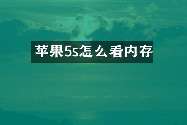 苹果5s怎么看内存