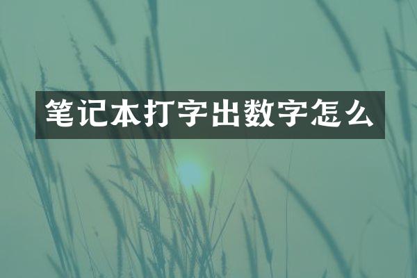 笔记本打字出数字怎么