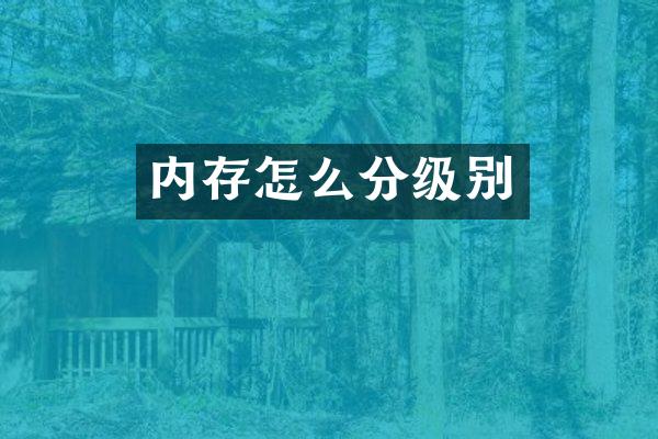内存怎么分级别