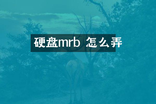 硬盘mrb 怎么弄