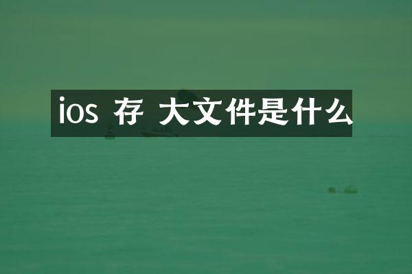 ios 存 大文件是什么