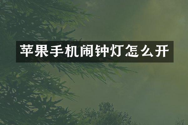 苹果手机闹钟灯怎么开
