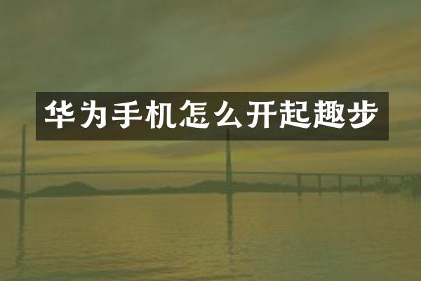 华为手机怎么开起趣步