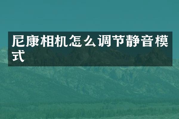 尼康相机怎么调节静音模式