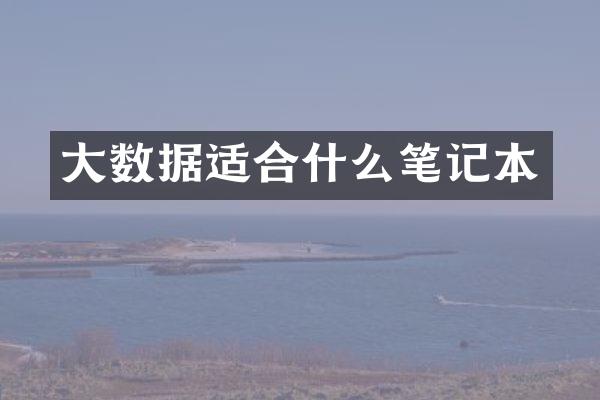 大数据适合什么笔记本