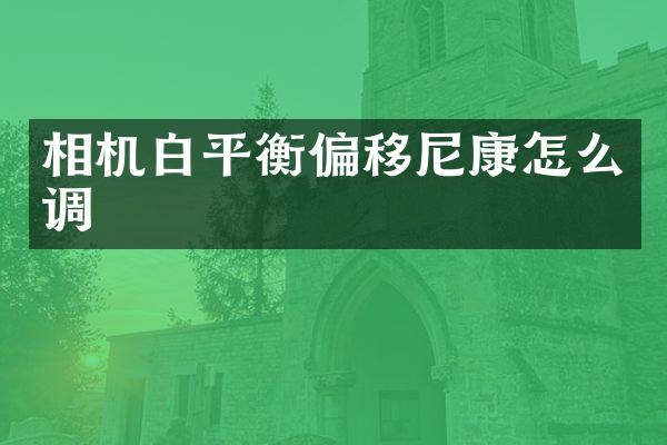 相机白平衡偏移尼康怎么调