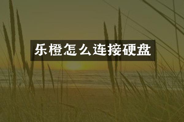乐橙怎么连接硬盘