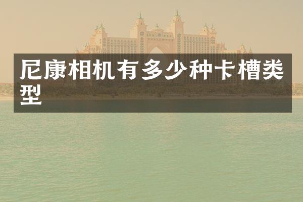 尼康相机有多少种卡槽类型