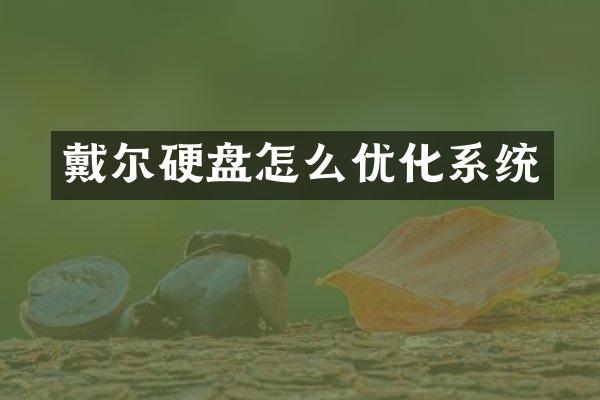 戴尔硬盘怎么优化系统