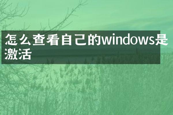 怎么查看自己的windows是否激活