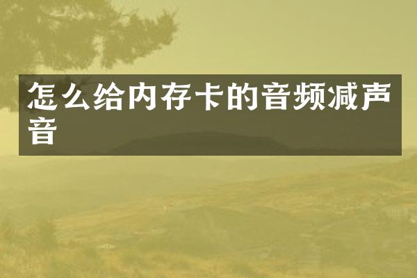 怎么给内存卡的音频减声音