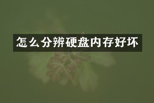 怎么分辨硬盘内存好坏