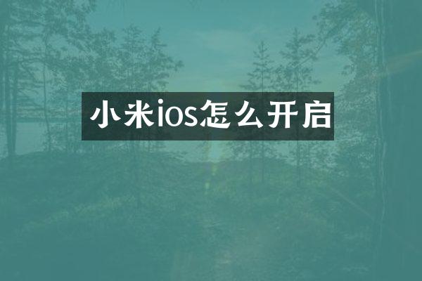小米ios怎么开启