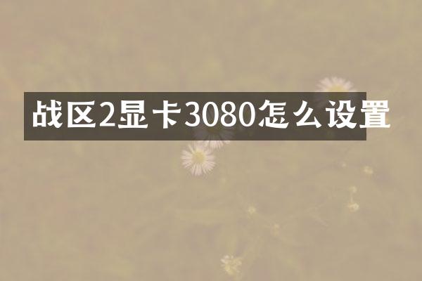 战区2显卡3080怎么设置