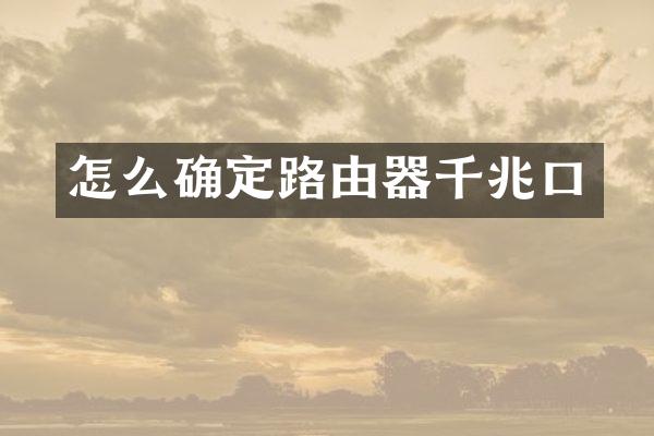 怎么确定路由器千兆口