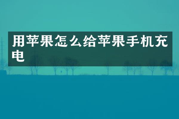 用苹果怎么给苹果手机充电