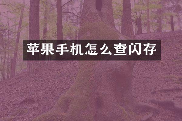 苹果手机怎么查闪存