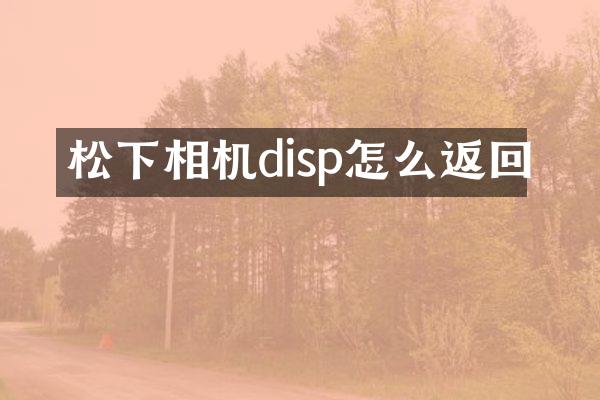 相机disp怎么返回