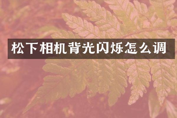 相机背光闪烁怎么调
