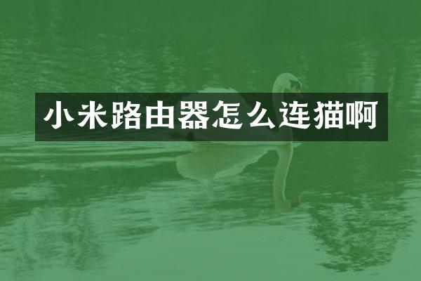 小米路由器怎么连猫啊