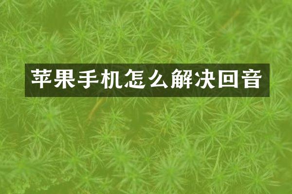 苹果手机怎么解决回音