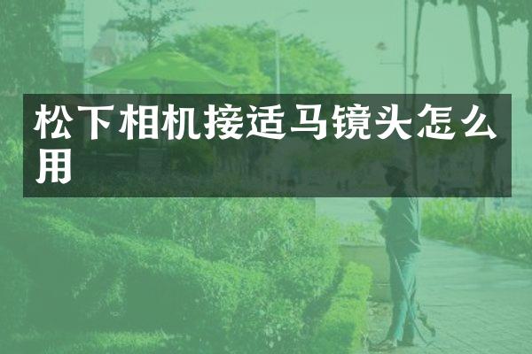 相机接适马镜头怎么用